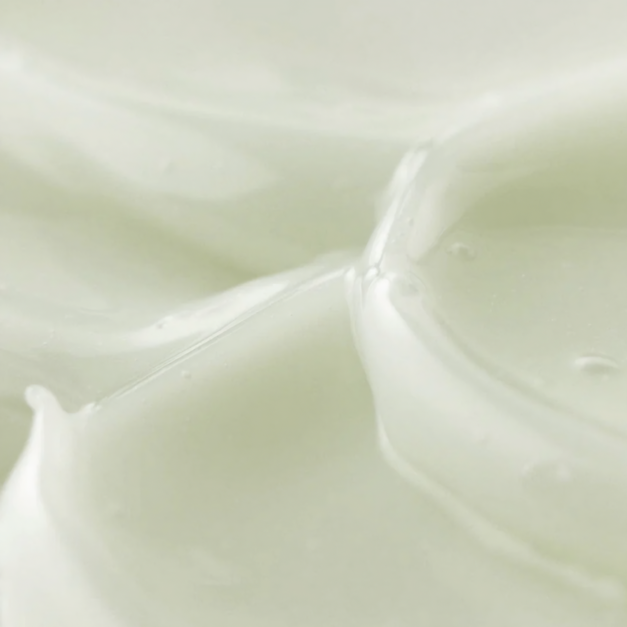 BEAUTY OF JOSEON – Sérum Éclat Centella + Vitamine C